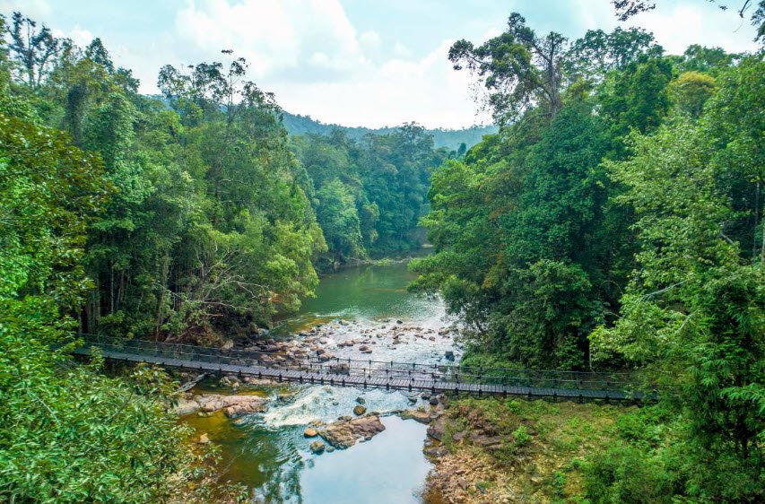 Taman Negara Endau-Rompin, Malaysia